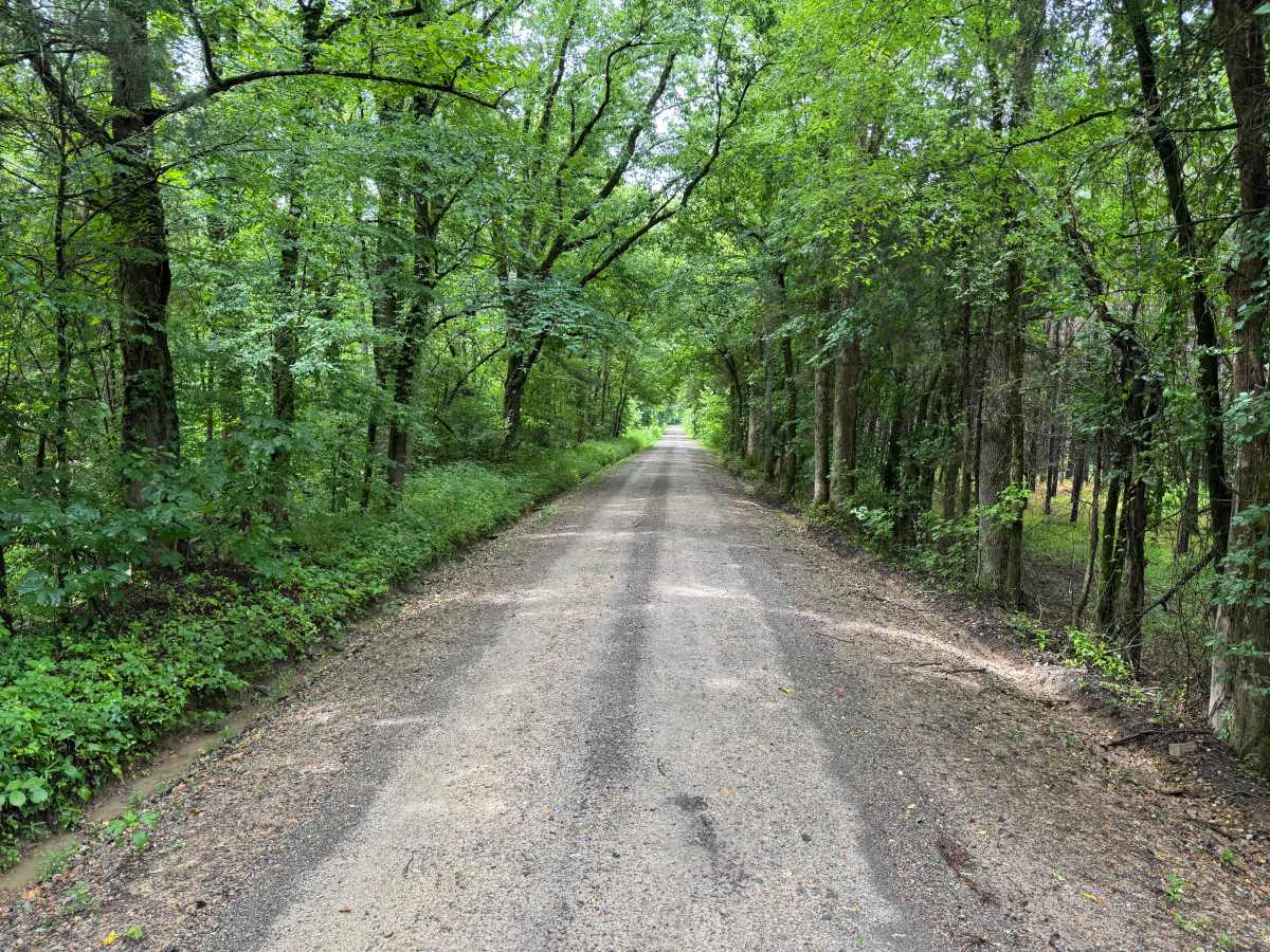 Gaston Road photo 4