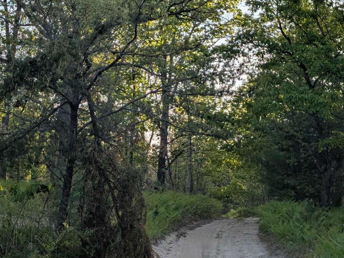  Beaver Dam Creek photo 3