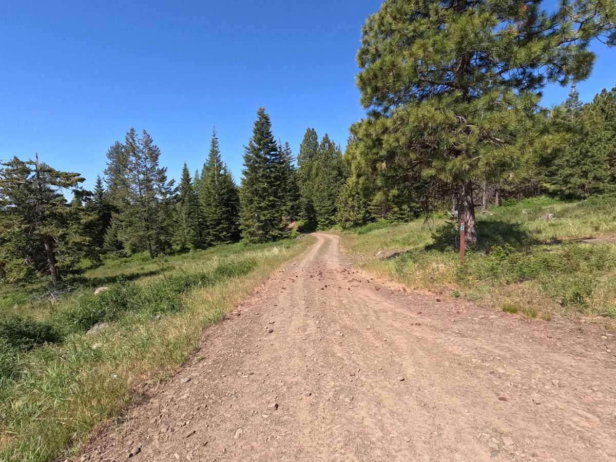 Vaca Loop - Trail 204 trail photo
