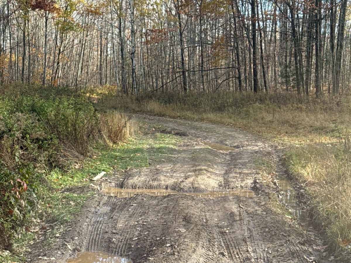 Norway Lake Loop photo 6