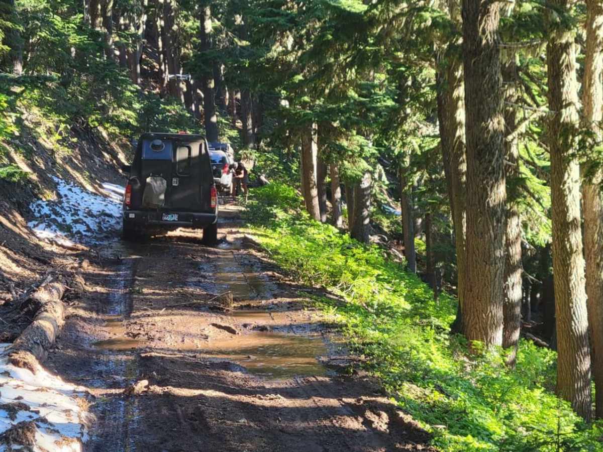Bennett Pass 2 photo 5