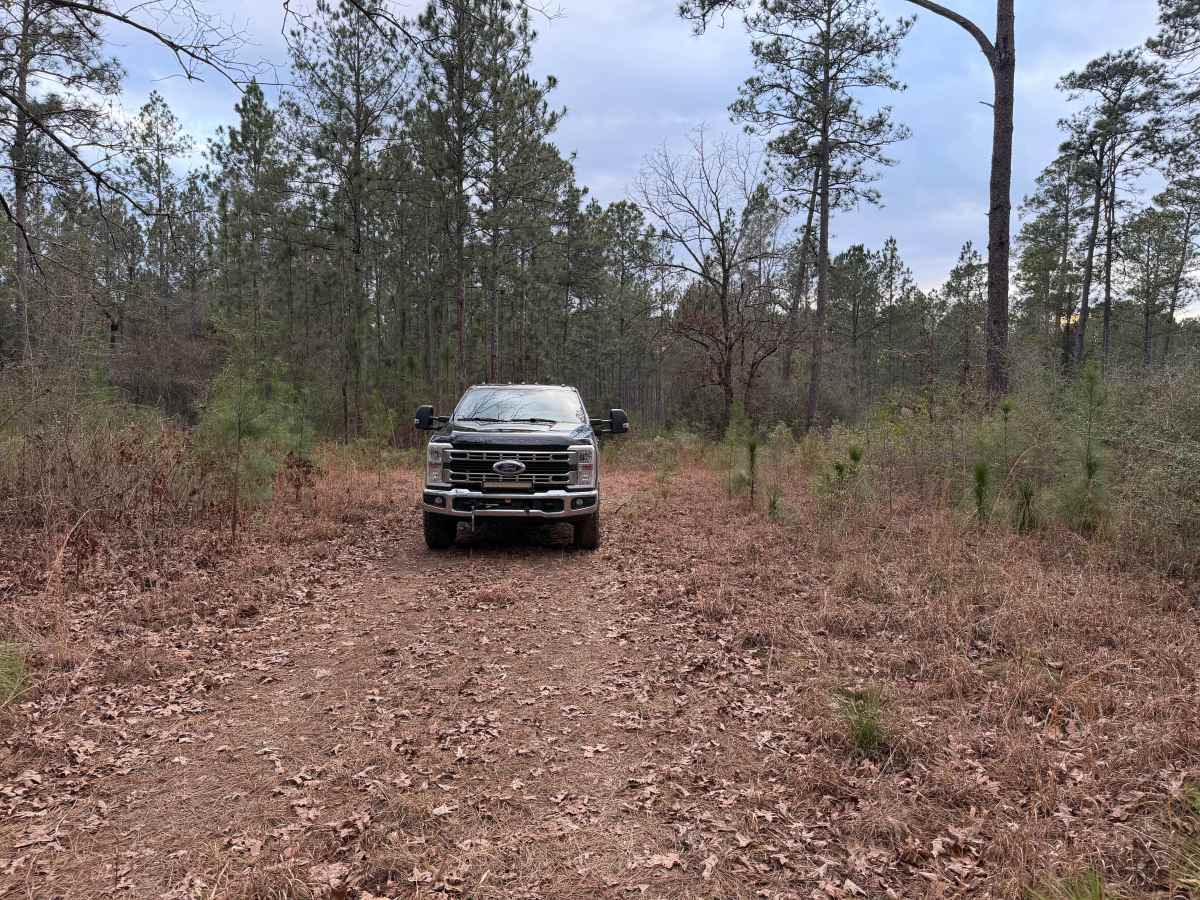 South Tank Trail - FS 35000 photo 3