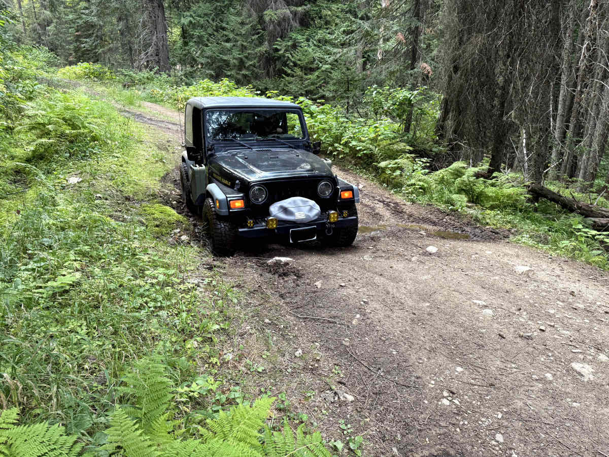 4W-7829 - Mink Peak Jeep Trail photo 3