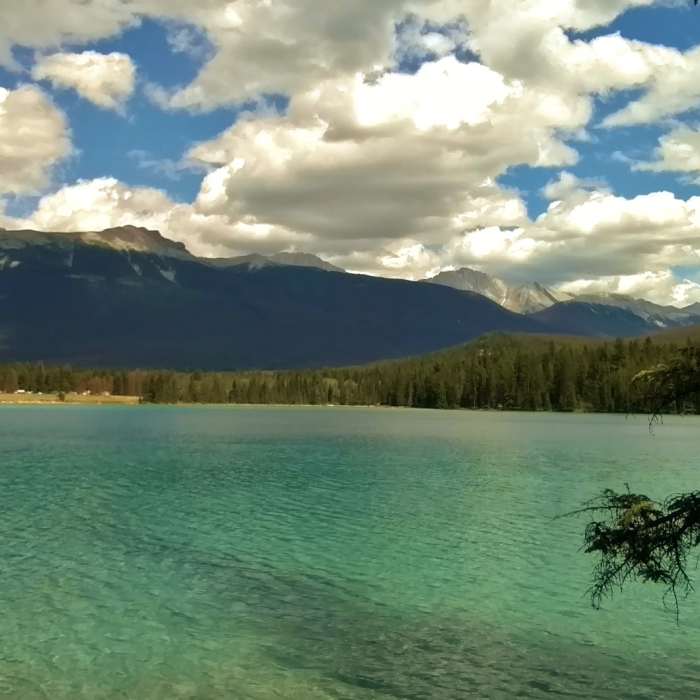 Near Lake Annette Loop