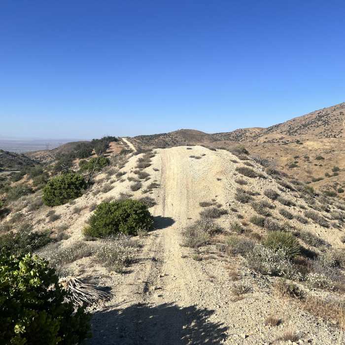Near Mount Emma Peak