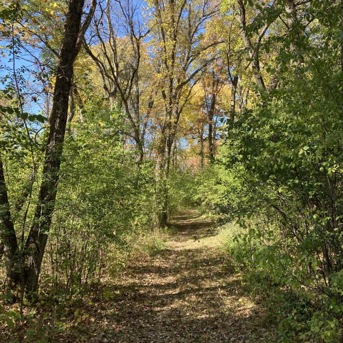 Near Southern Trails Loop
