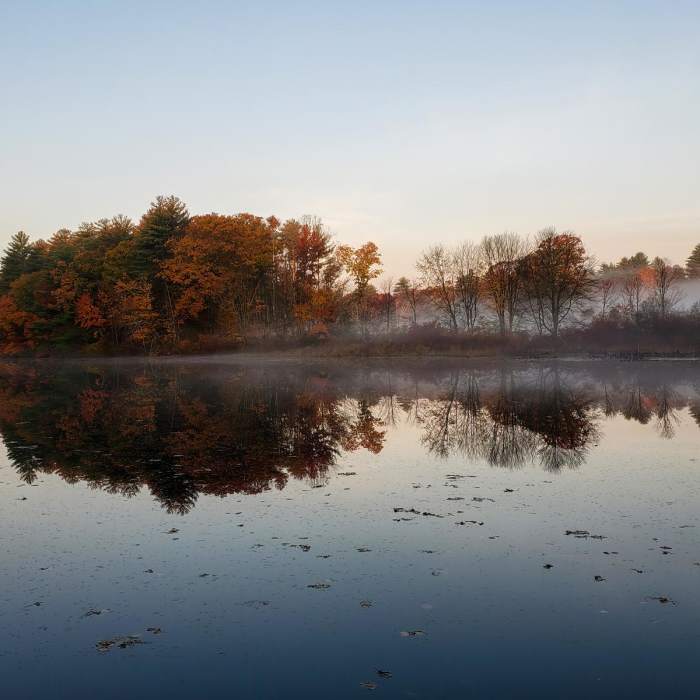 Near Assabet River National Wildlife Refuge + Rail Trail Near Assabet River National Wildlife Refuge + Rail Trail