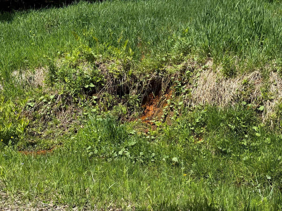 Riterville Guffy Road- FS 573 photo 6