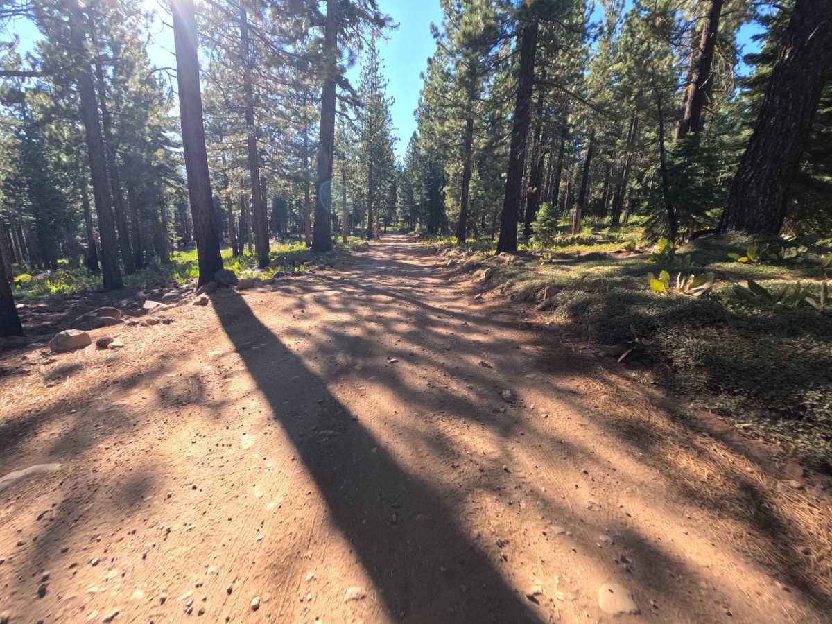 Sagehen Creek - FS 0011 photo 6