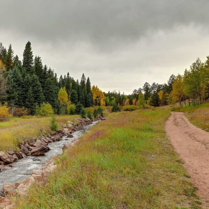 Near Rampart Reservoir Trail #700