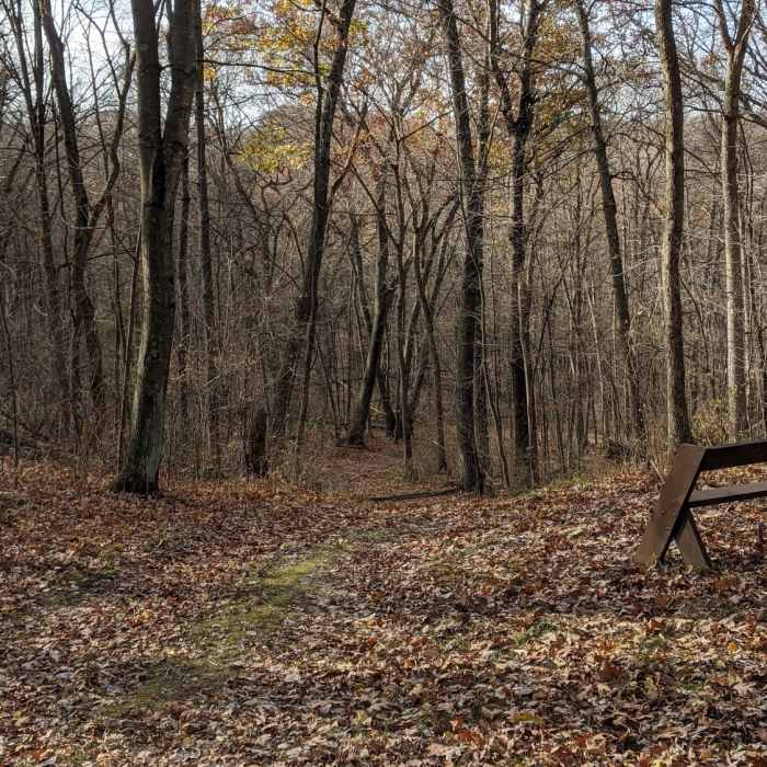 Near Kiln Trail