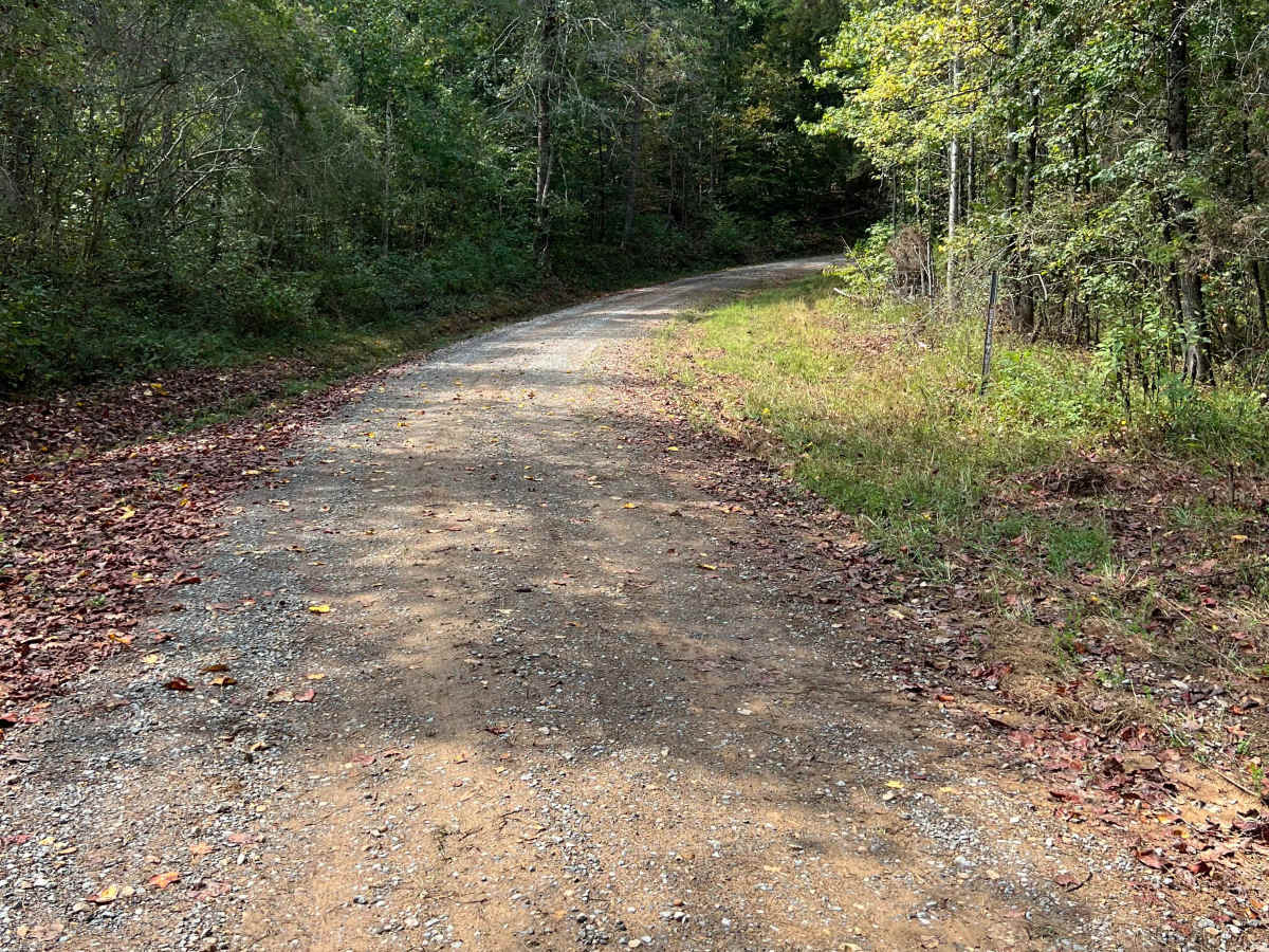 Estelle Mines Road photo 2