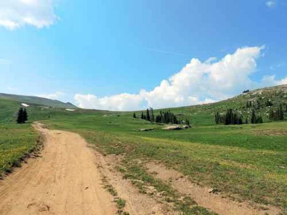 Ptarmigan Pass photo 2
