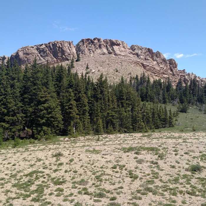 Near Livingston Peak