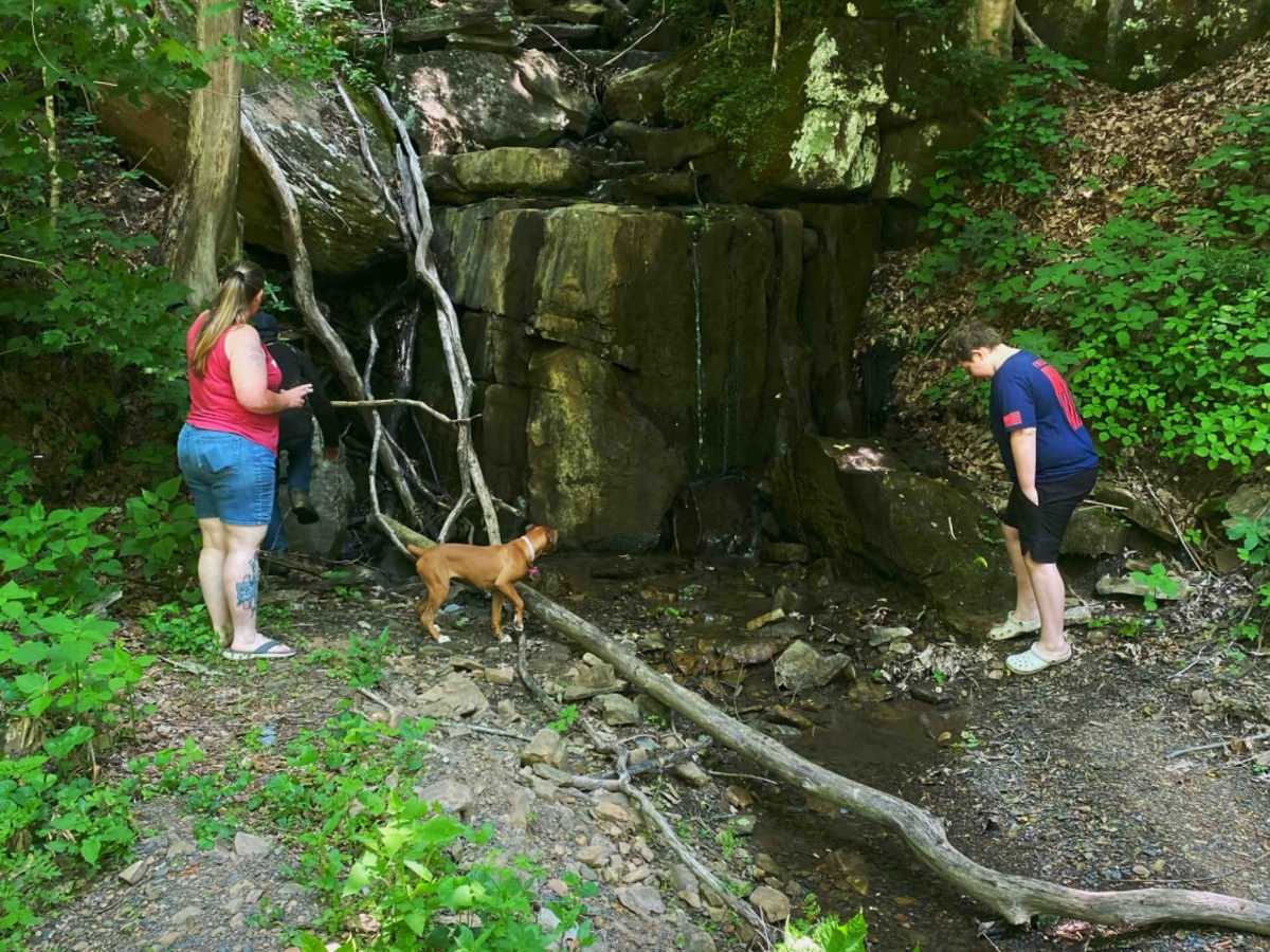 New River Gorge photo 4