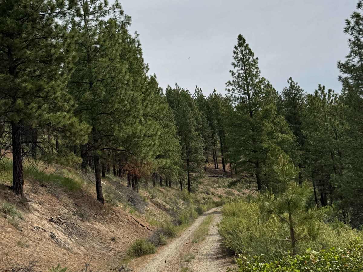 Washington Butte Trail photo 2