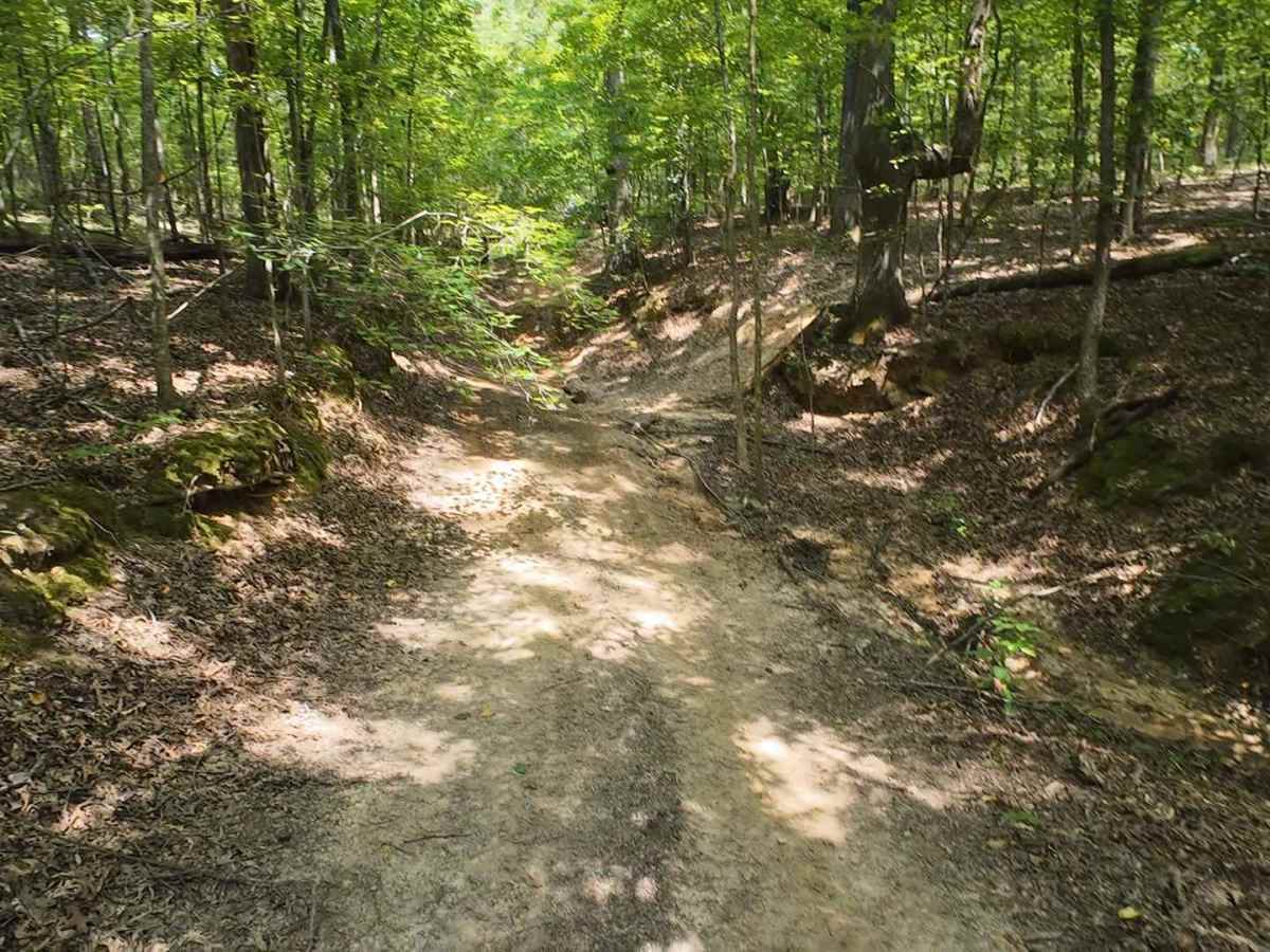 SIP Off Road Trail trail photo