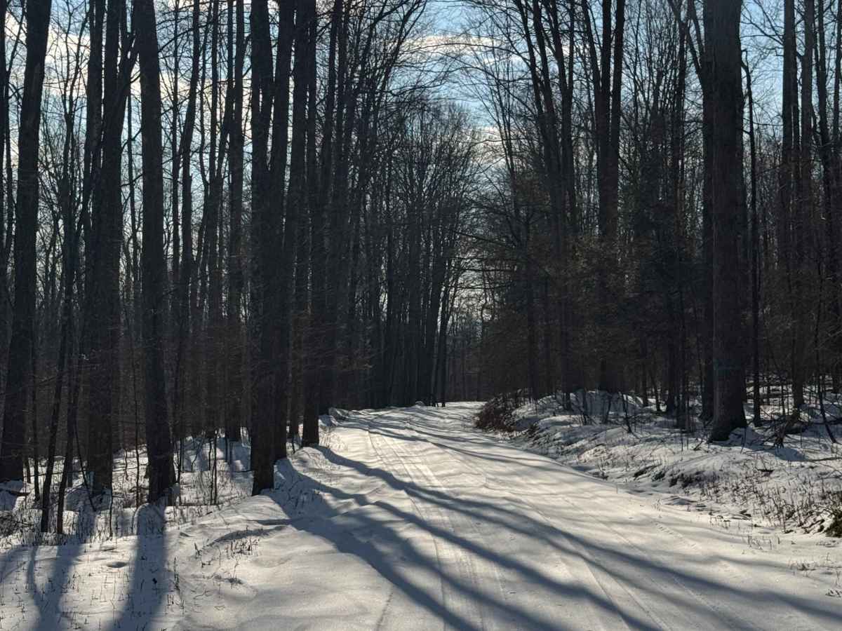 Cabbage Hollow Road photo 4