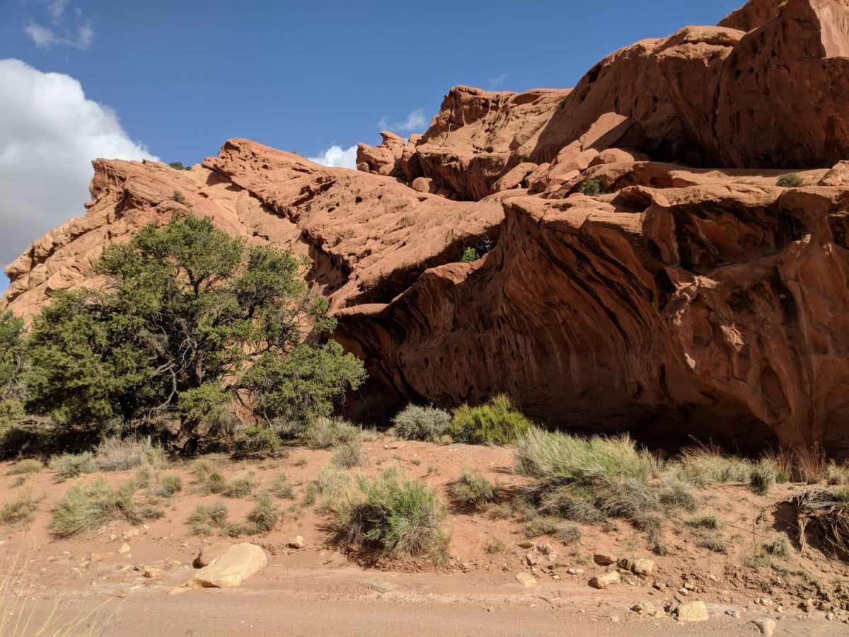 Upper Muley Twist Canyon Road photo 5