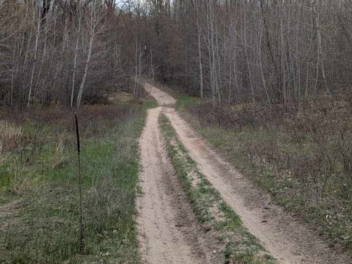 Loose Lane photo 5