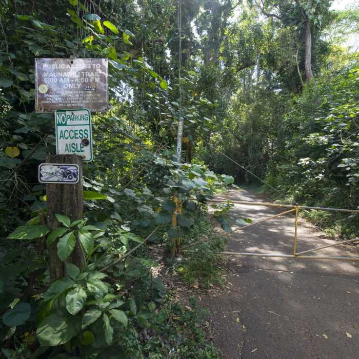 Near Maunawili Falls Hike Near Maunawili Falls Hike