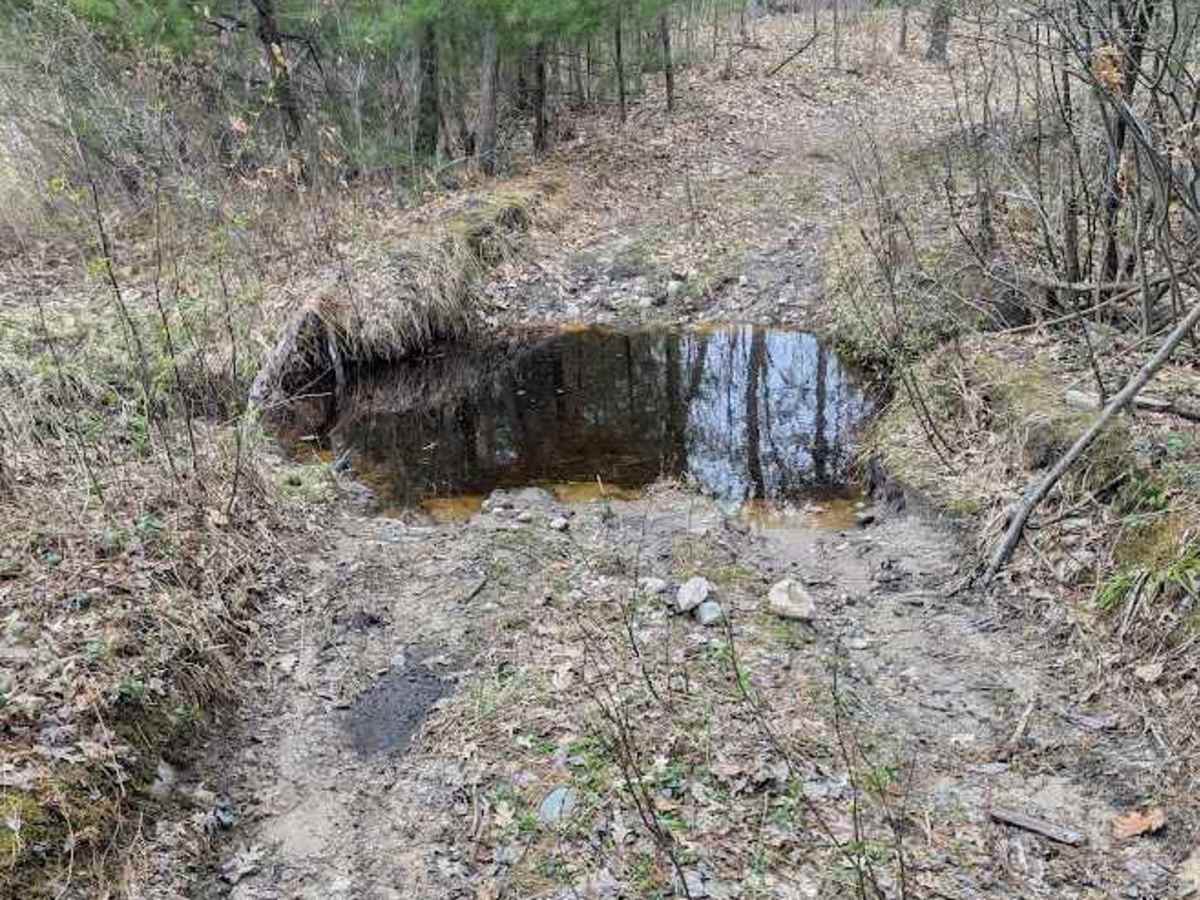 Creek Crossing photo 5