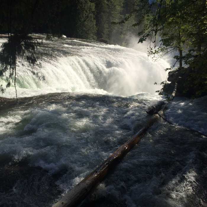 Near Lewis River Trail #31