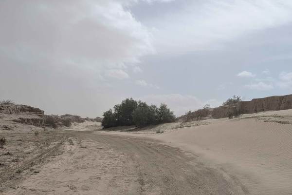 Morales Wash