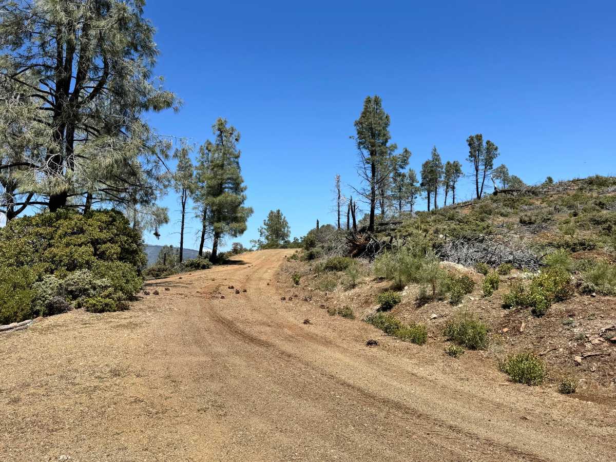 Open Ridge Black Diamond West - FS 18N02 trail photo