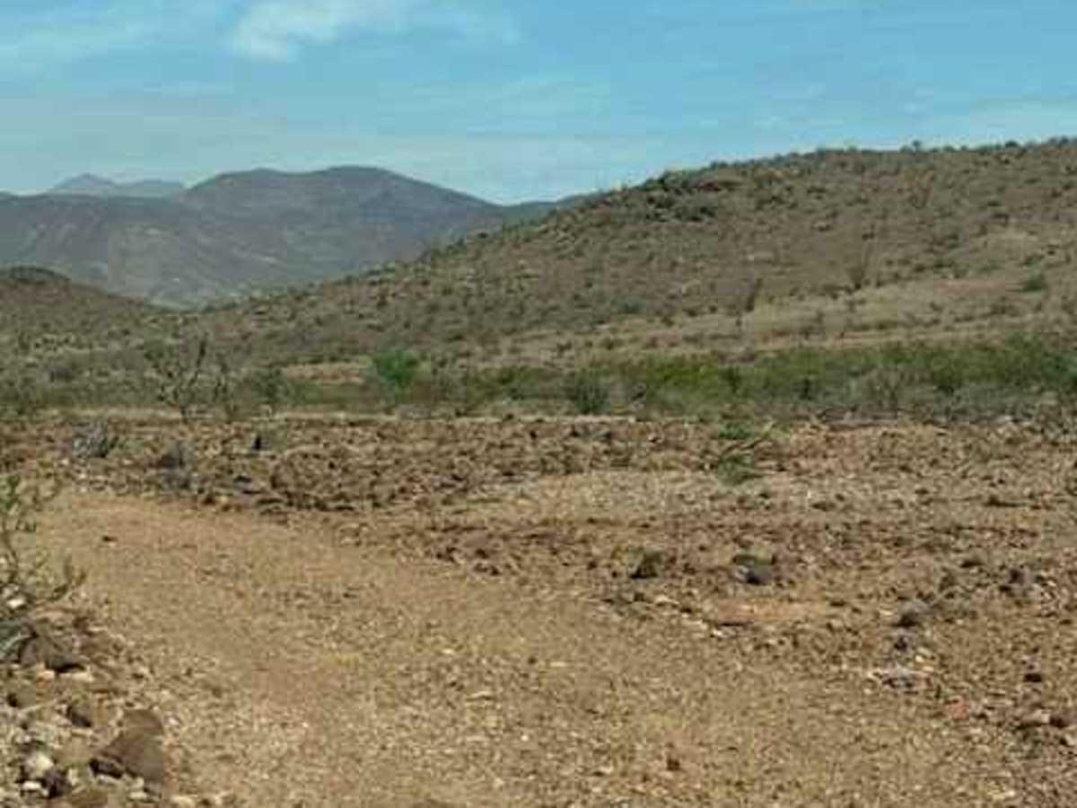 BLM PE1031 trail photo