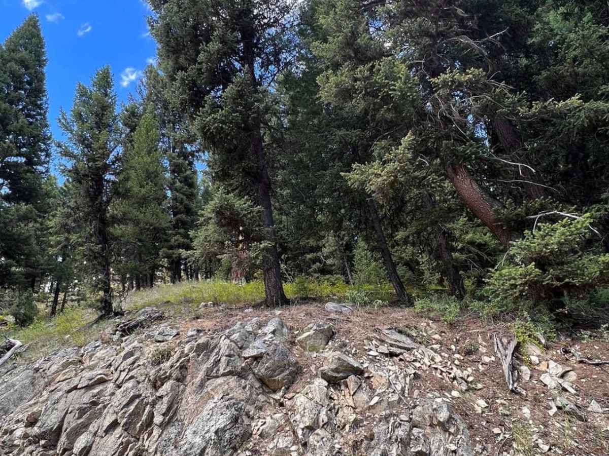 Martin Creek to Chain of Lakes Trail photo 5