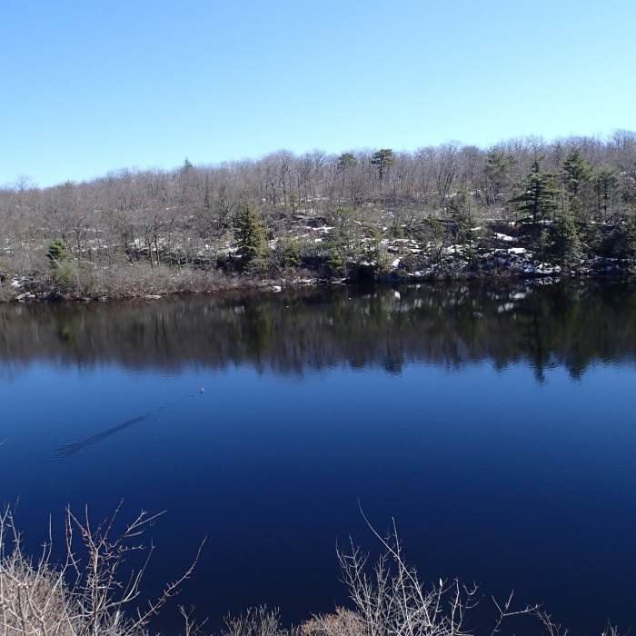 Terrace Pond Near Terrace Pond Quick Loop