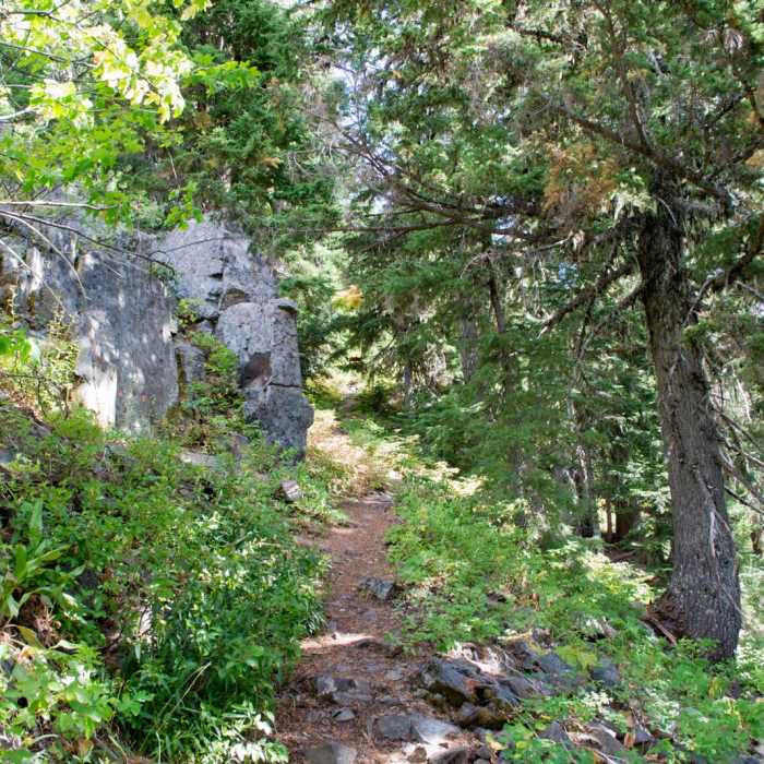 Near Bohemia Mountain Trail