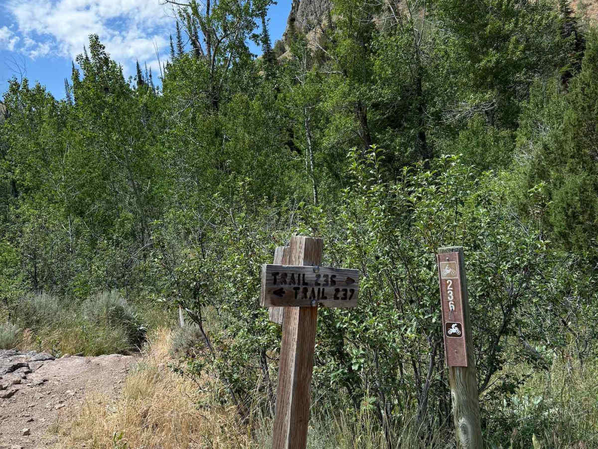 First Fork photo 6