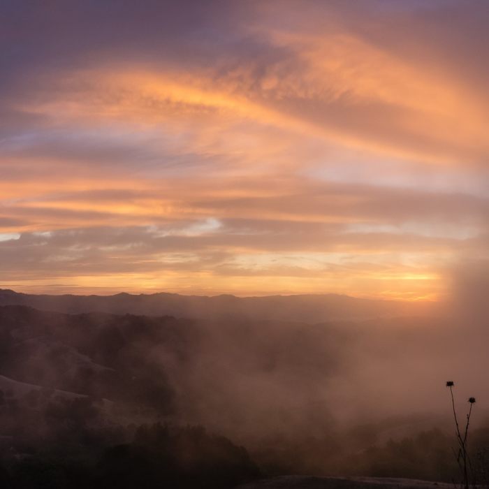 Near Elderberry - Rocky View - Cuestas Loop