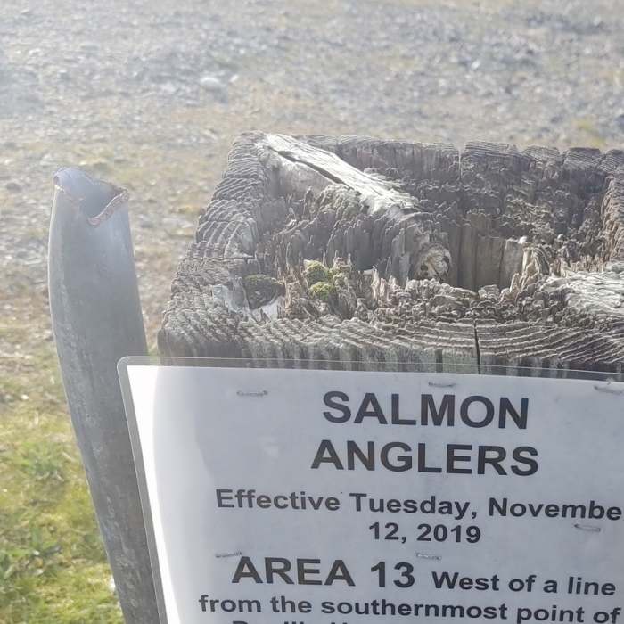Solo Point Salmon Retention Near Solo Point Road