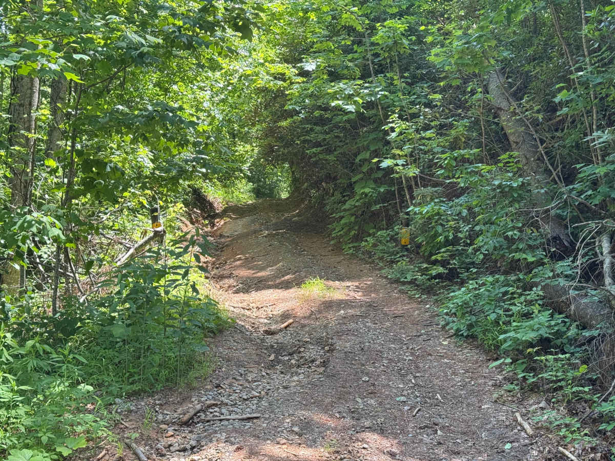 Pigpen Gap - FS 417 photo 2