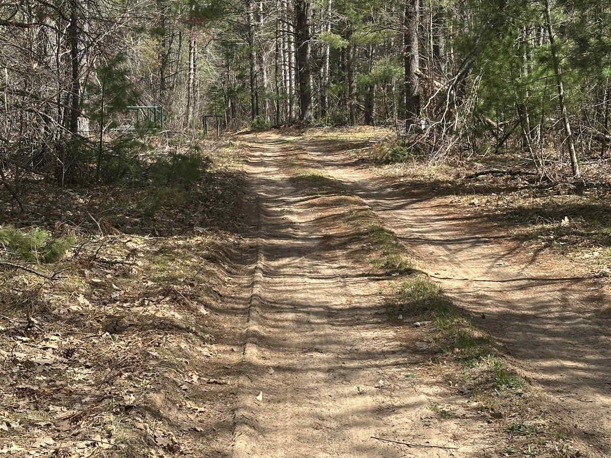 Old Alba Cutover trail photo