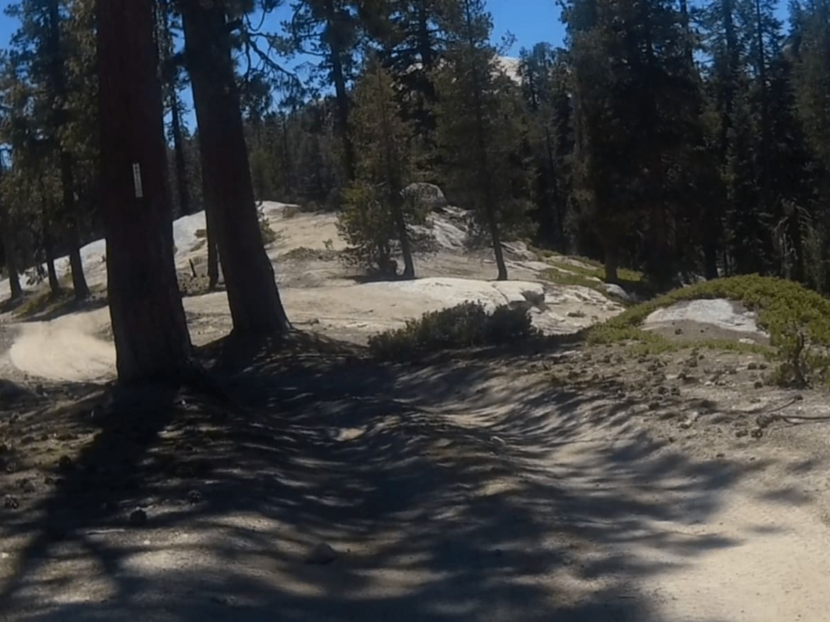 Powder Hill - FS 26e330 trail photo