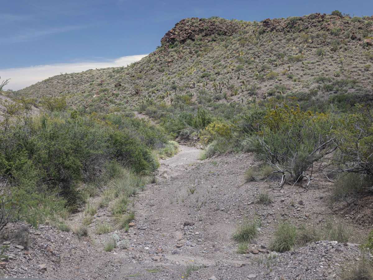 BBRSP - Los Alamos Road photo 3