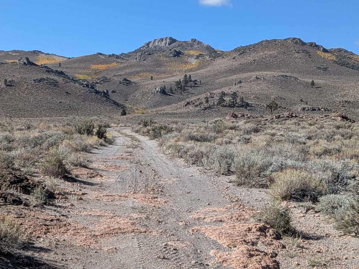 North Canyon / Baxter Road - FS 1S15A photo 2