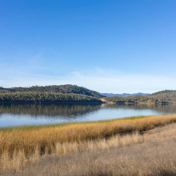 Near Shoreline Trail