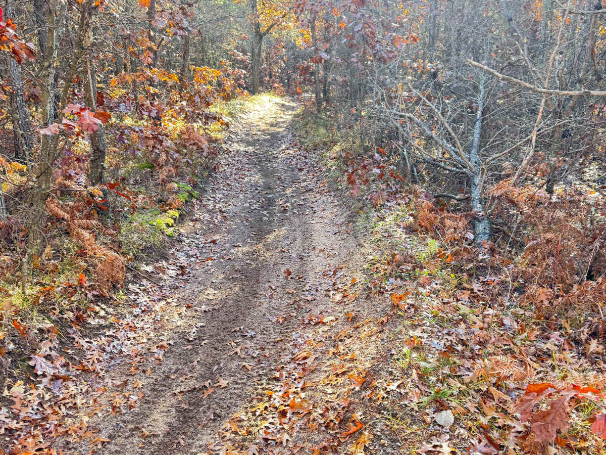 Ambrose Lake to Rose City Trail photo 6