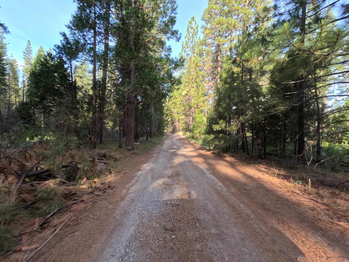 Sawmill Mountain Rd - 1S03 photo 5