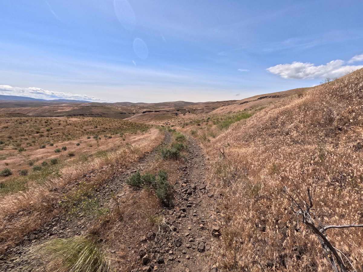 Jacknife Ridge Road photo 4