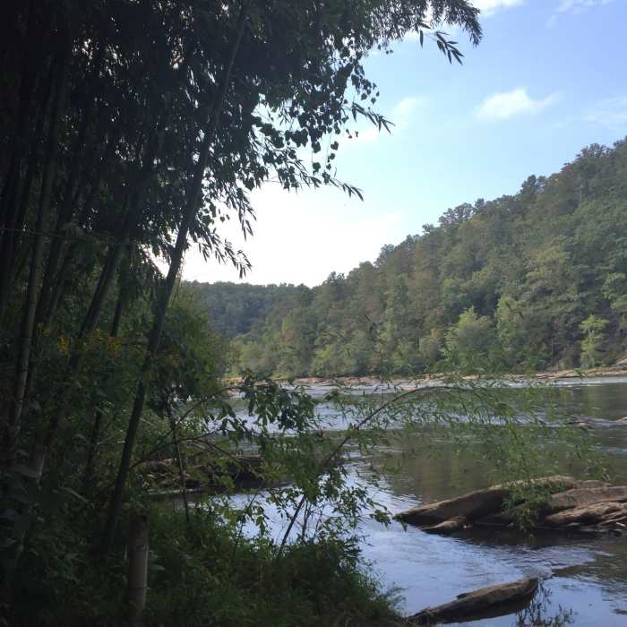 Peeking out over the river from the bamboo forest. Near East Palisades Route