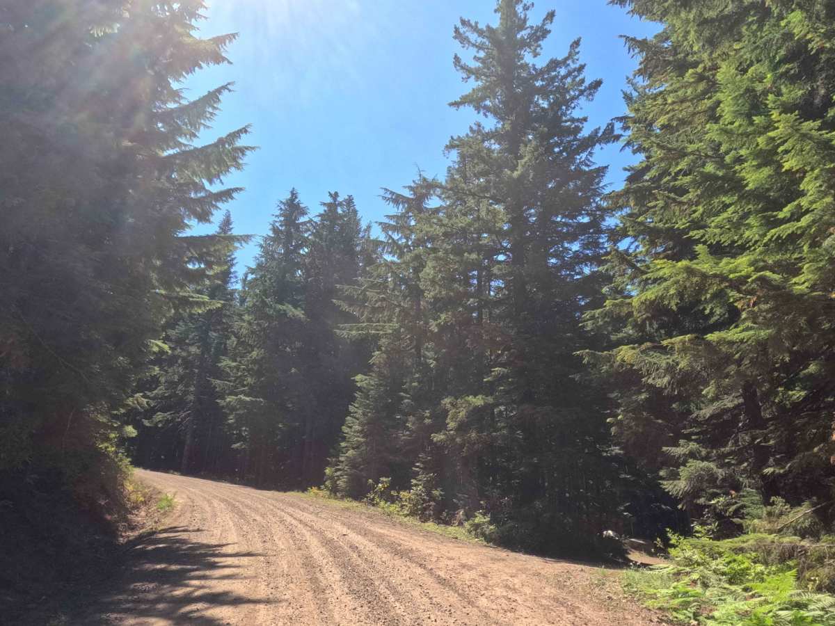 Abbott Road East - FS 4610000 photo 4