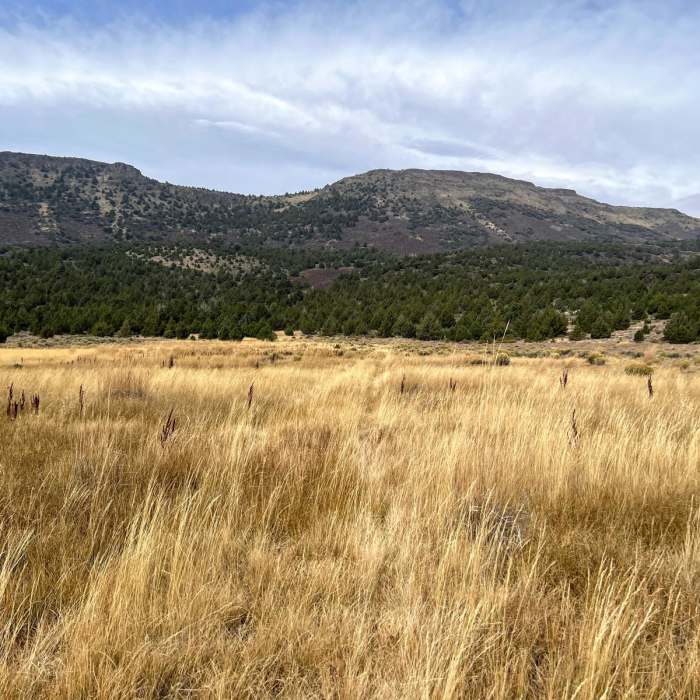 Near Hart Lake to Hart Mountain Hot Springs