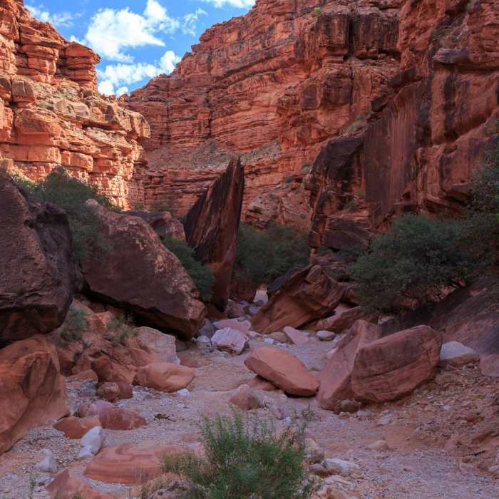 Near Havasu Falls Hike via Havasupai Trail