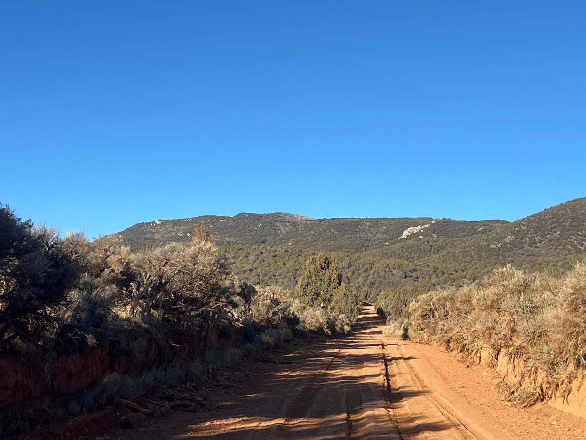 Little Creek Road East photo 4